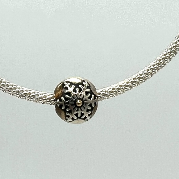 Pandora Winter Wonderland Clip Charm (retired) - Picture 3 of 3